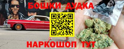 индика Абакан